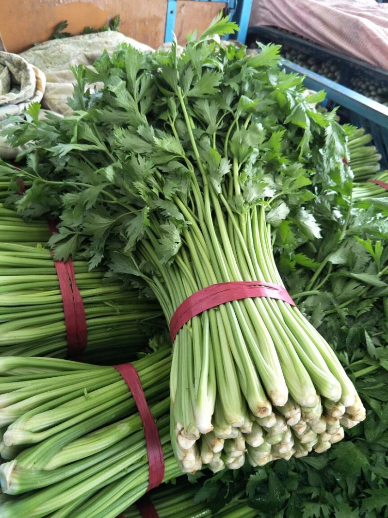 本地精品芹菜，质量有保证，产地真供，专业包装团队