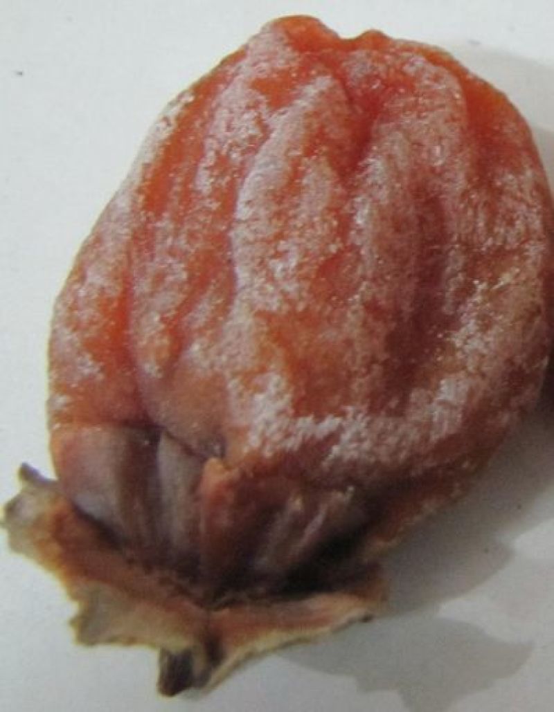 柿饼1~2两