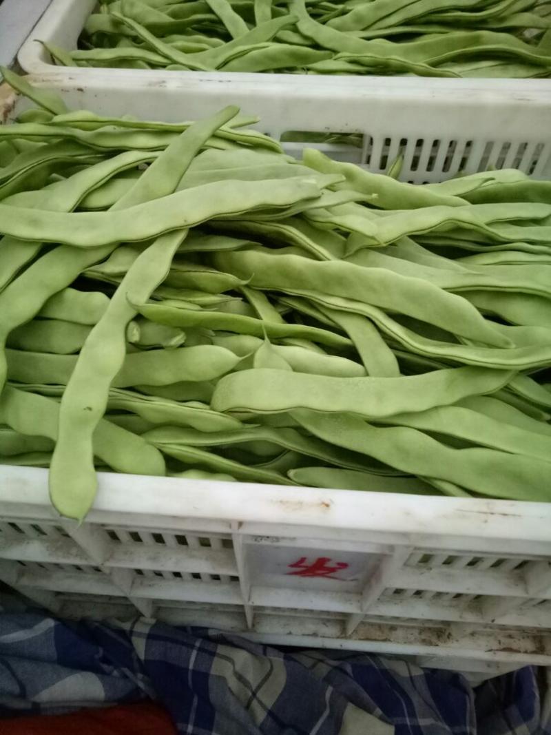 绿扁豆2厘米以上20厘米以上，产地代收，代发全国各地