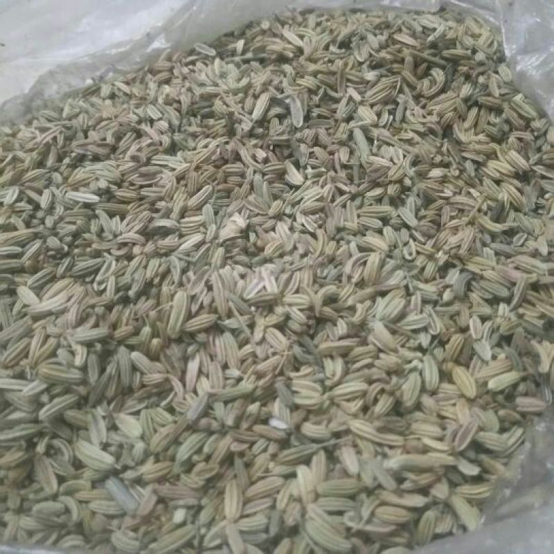 茴香籽