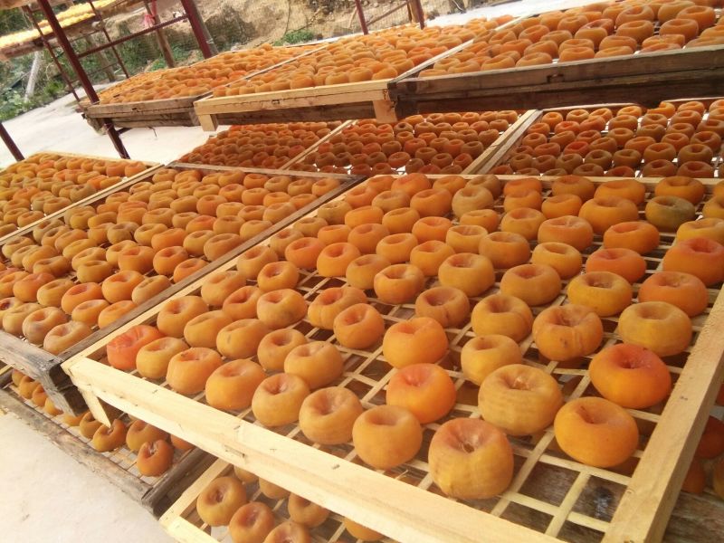 柿饼2两一下中，小