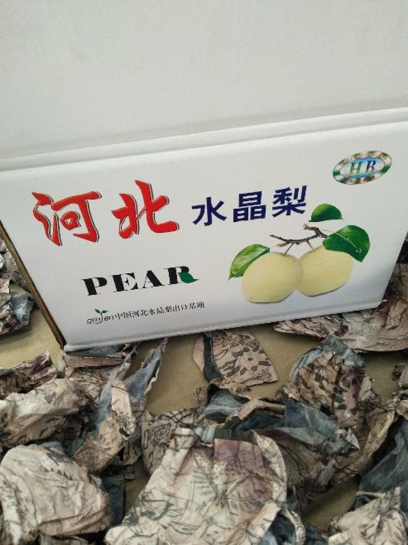 鸭梨河北水晶梨梨出口贸易对接边贸出口加工社区团购微商直供