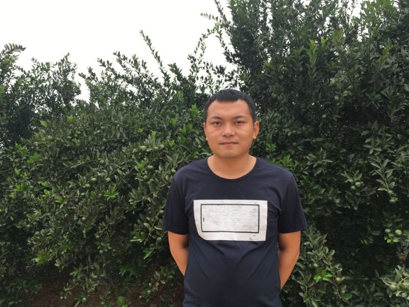 臭皮柑广桔蜜广蜜橘臭皮柑