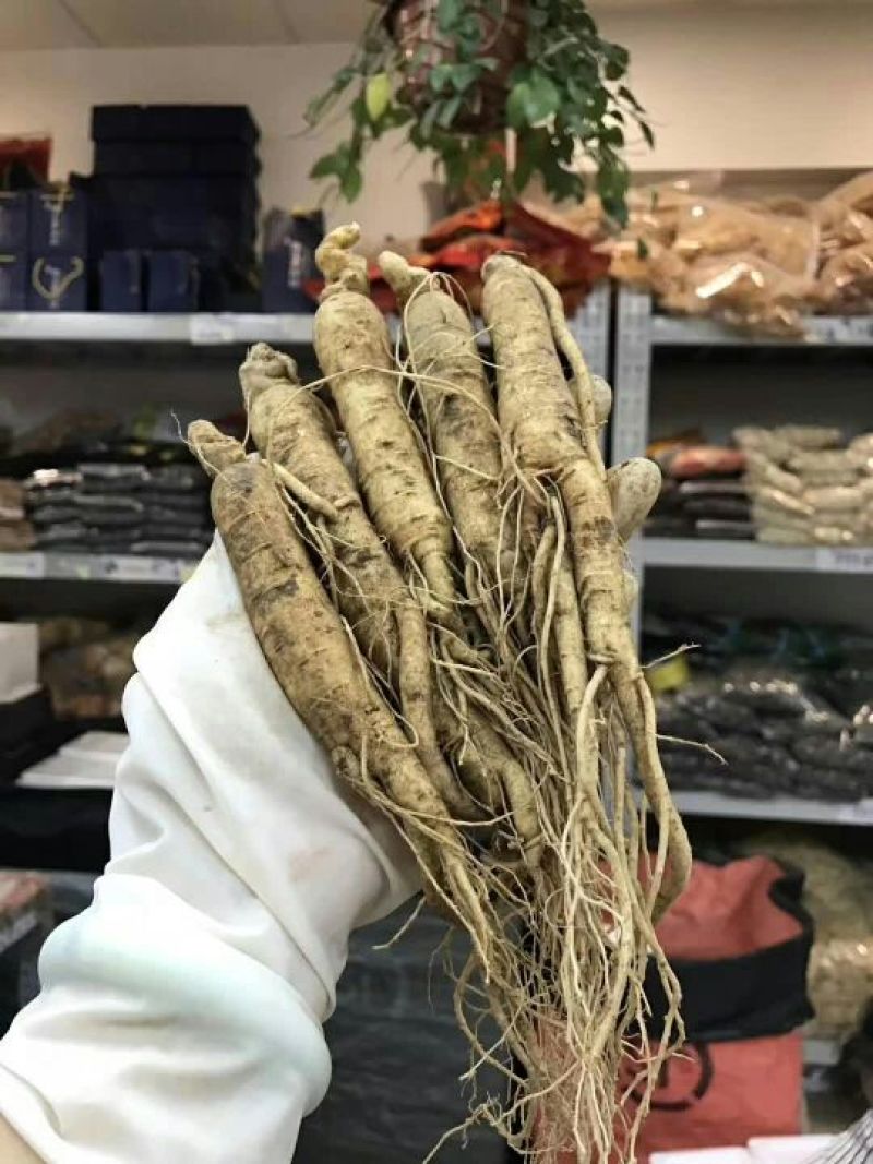 人参鲜