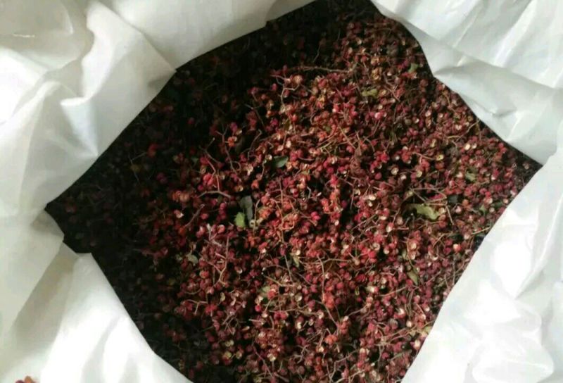 大红袍花椒一级干