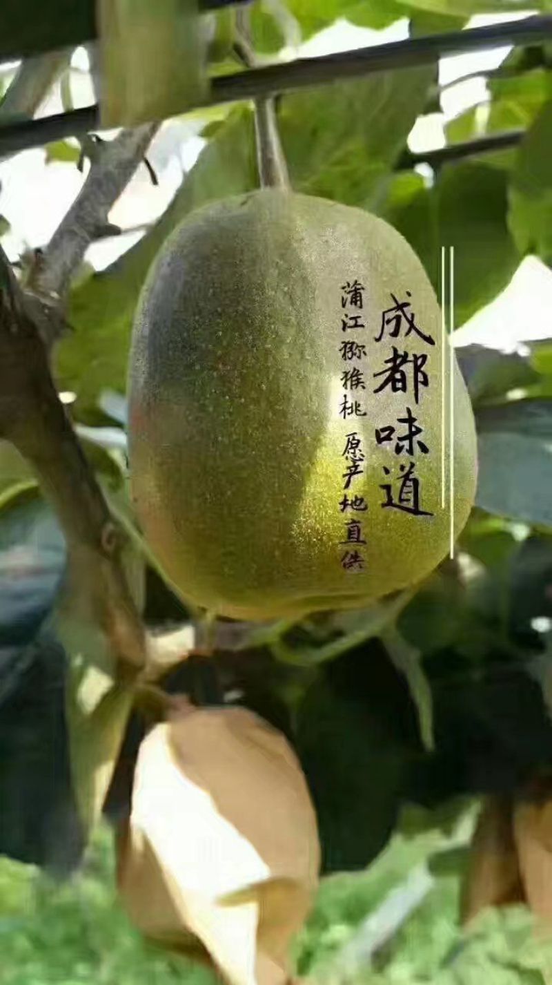 红心猕猴桃90~110克