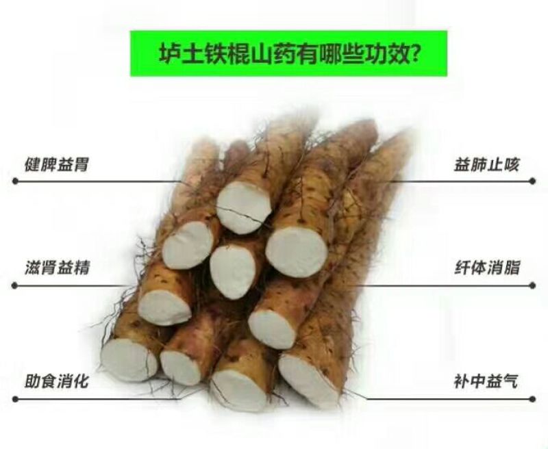 铁棍山药2~3厘米特级手捡50~70厘米