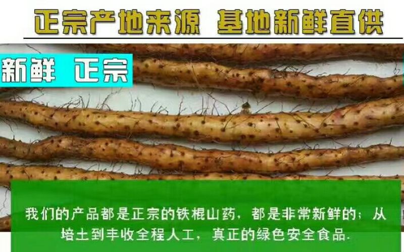 铁棍山药2~3厘米特级手捡50~70厘米