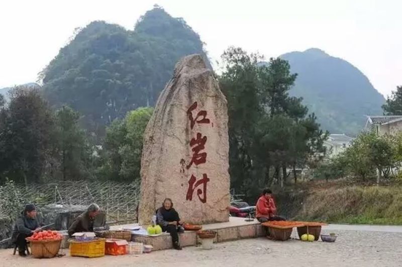 柿饼1~2两