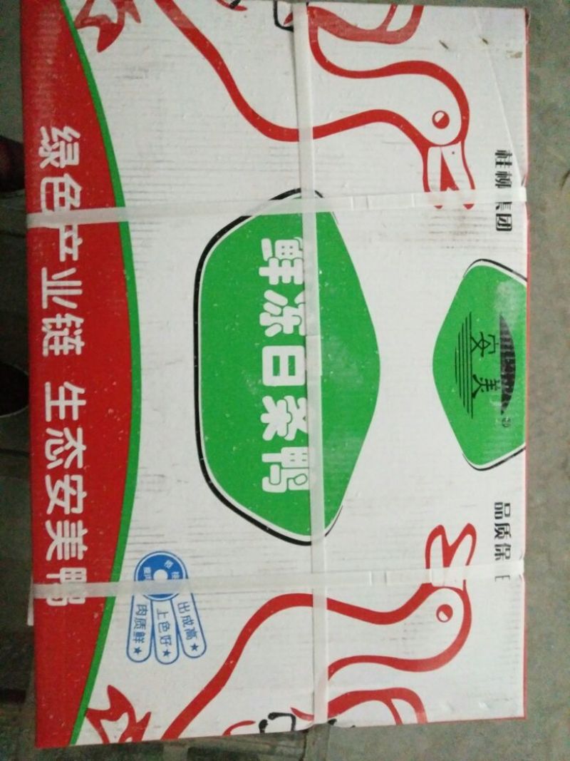 白条鸭