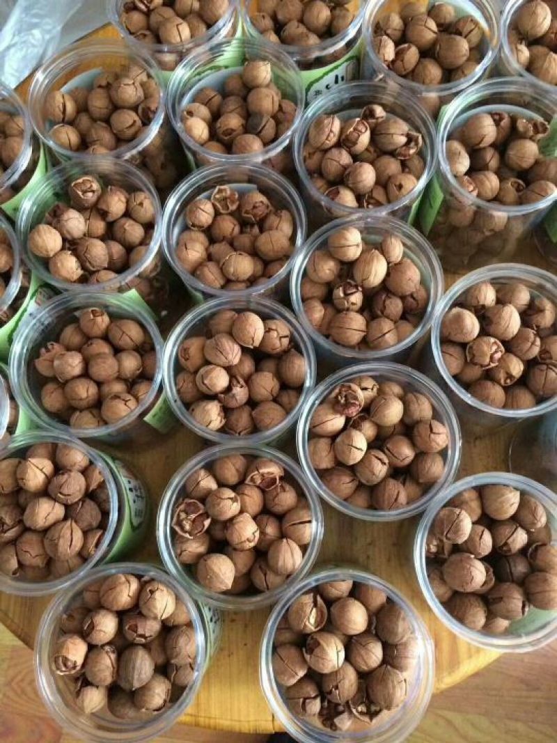 薄皮核桃去皮25~35mm干