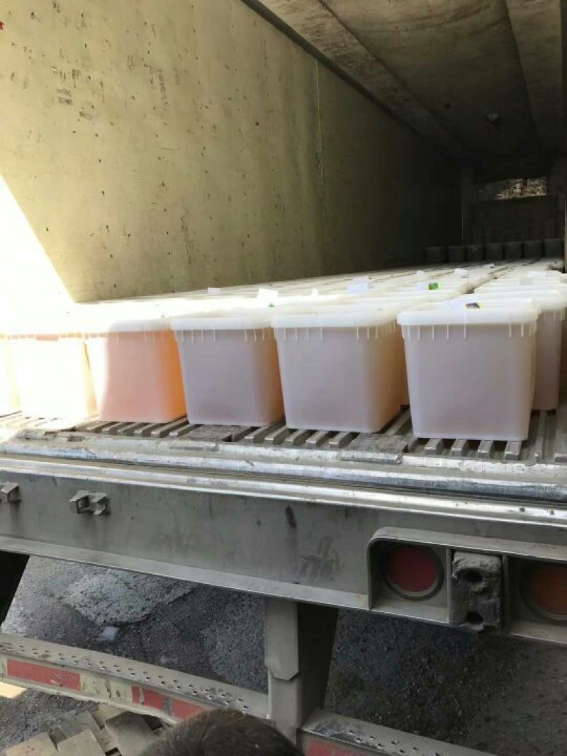 蜂蜜精品椴树蜜大量供货产地一手货源欢迎来电咨询