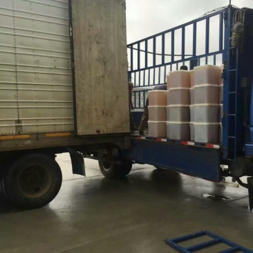 蜂蜜精品椴树蜜大量供货产地一手货源欢迎来电咨询