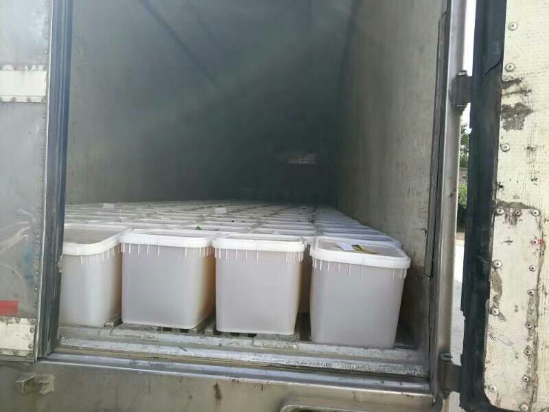 蜂蜜精品椴树蜜大量供货产地一手货源欢迎来电咨询