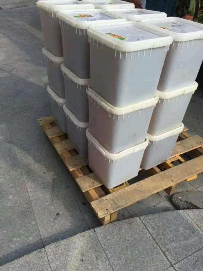 蜂蜜精品椴树蜜大量供货产地一手货源欢迎来电咨询