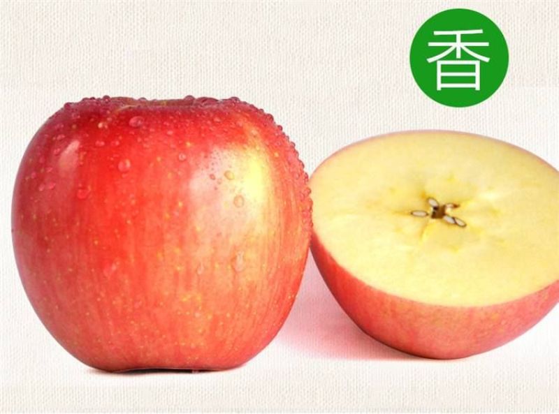 红富士苹果80mm以上纸袋