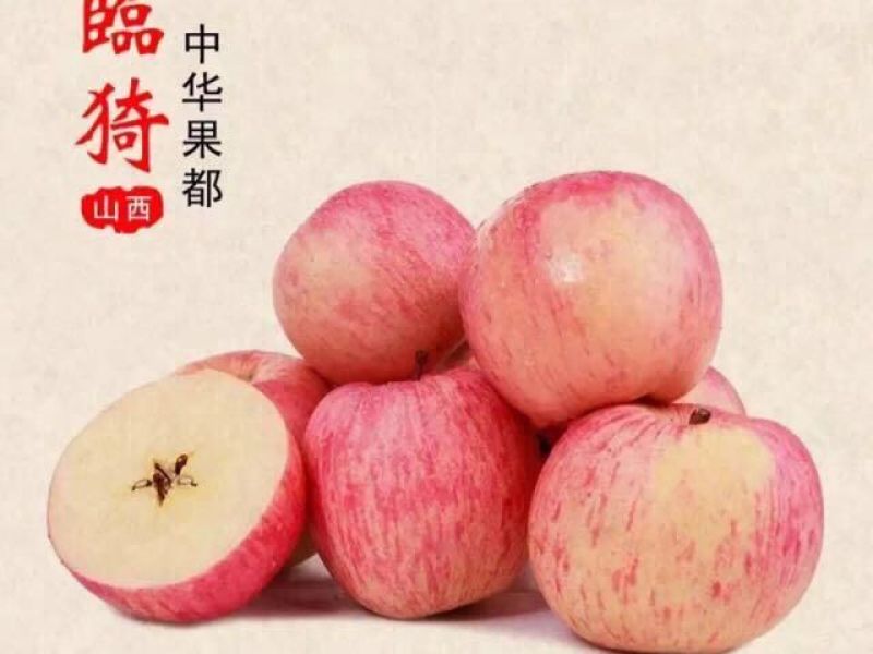 红富士苹果80mm以上纸袋