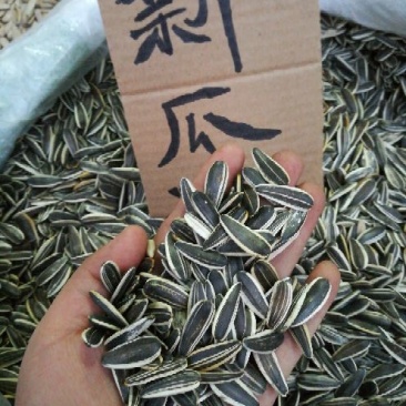 葵花籽散装熟