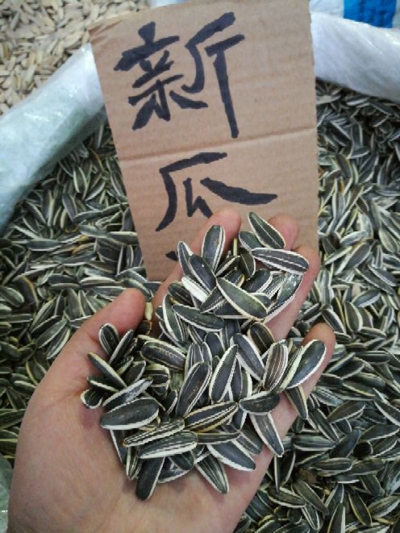 葵花籽散装熟