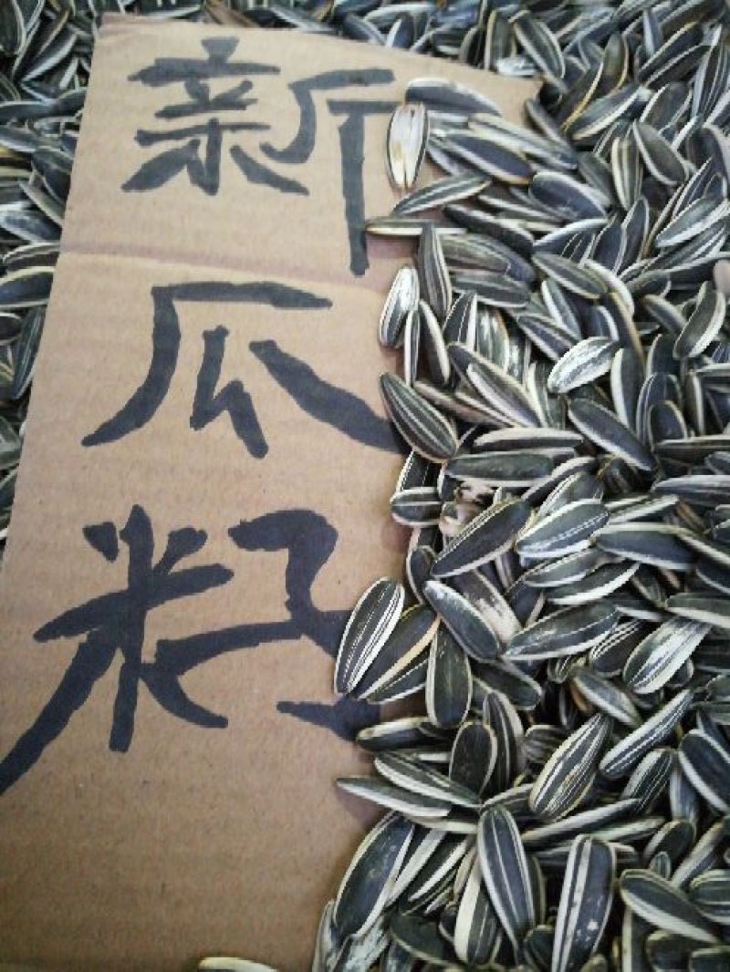 葵花籽散装熟