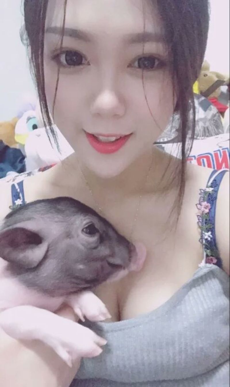 香猪母公都有超级好看好看