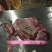 五香驴肉冷冻鲜驴肉