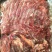 五香驴肉冷冻鲜驴肉