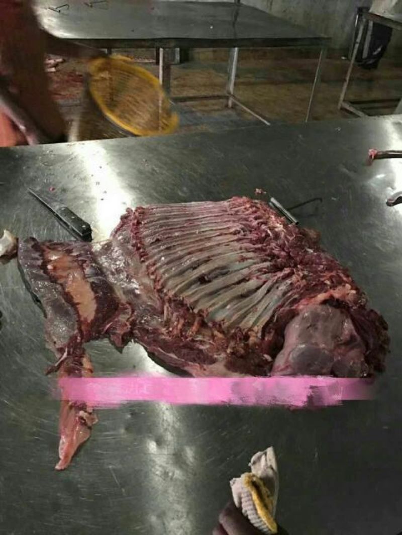 五香驴肉冷冻鲜驴肉