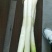 大葱铁杆大葱白长30cm