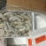 基围虾青岛大虾大虾，肉质鲜嫩爽滑现货秒发