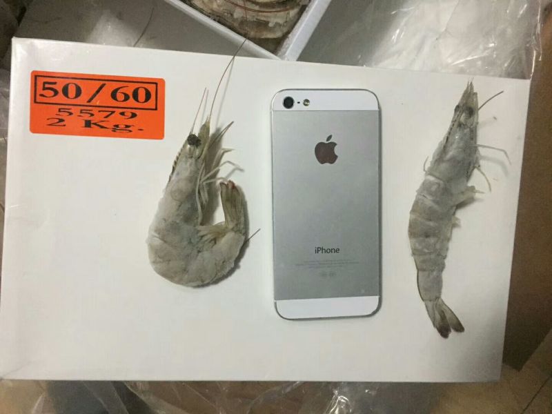 基围虾青岛大虾大虾，肉质鲜嫩爽滑现货秒发