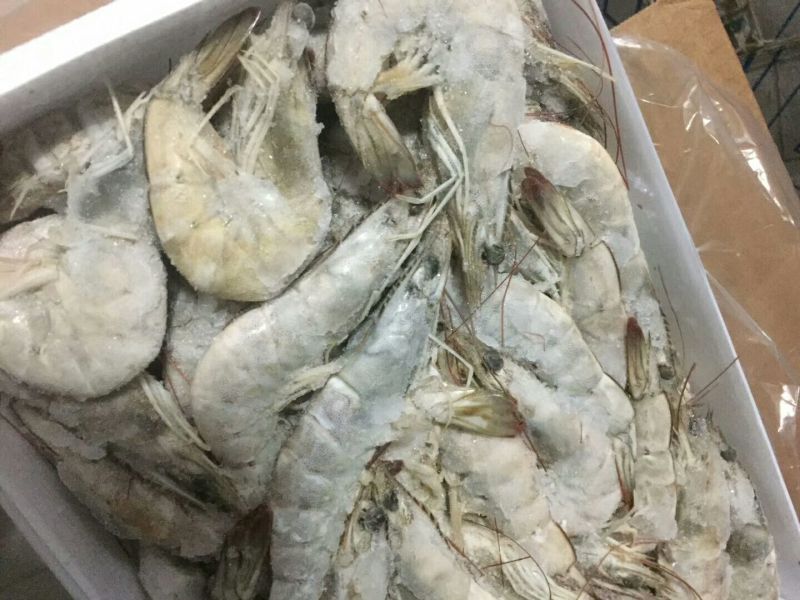 基围虾青岛大虾大虾，肉质鲜嫩爽滑现货秒发