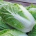 大白菜，青杂三号。北京三号净菜无虫眼无坏根。