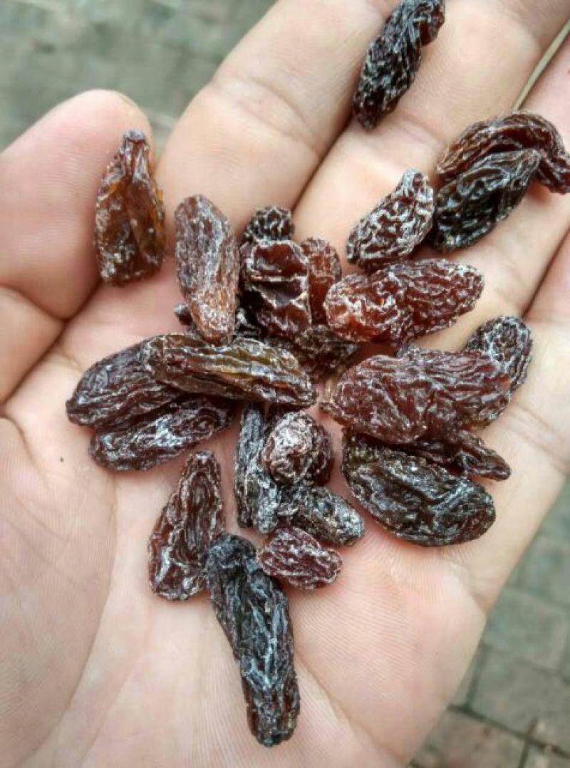红葡萄干无核一级