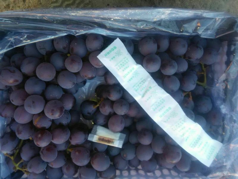 预售巨峰葡萄5%以下0.8~1斤