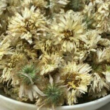 药用菊花袋装