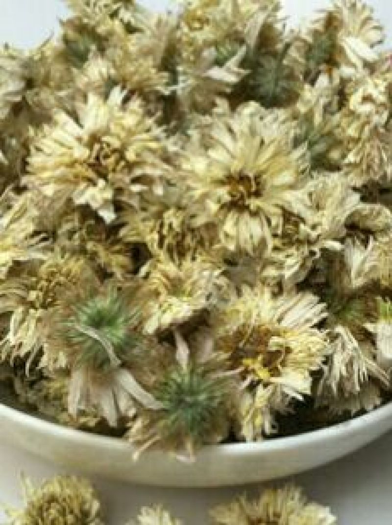 药用菊花袋装