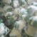白面青梗松花菜2~3斤散花乳白