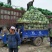 圆包菜通货3公斤以上