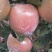 水晶富士苹果80mm以上纸+膜袋