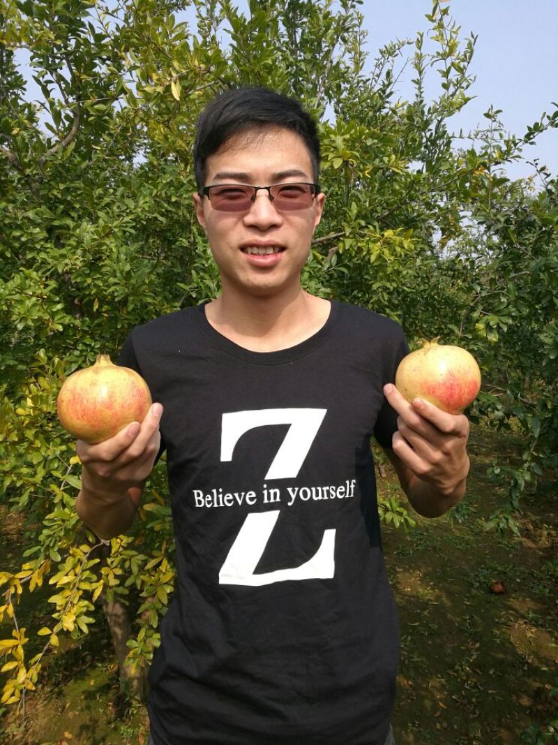 荥阳突尼斯软籽石榴/微商电商5斤礼盒一件代发直播带货包邮