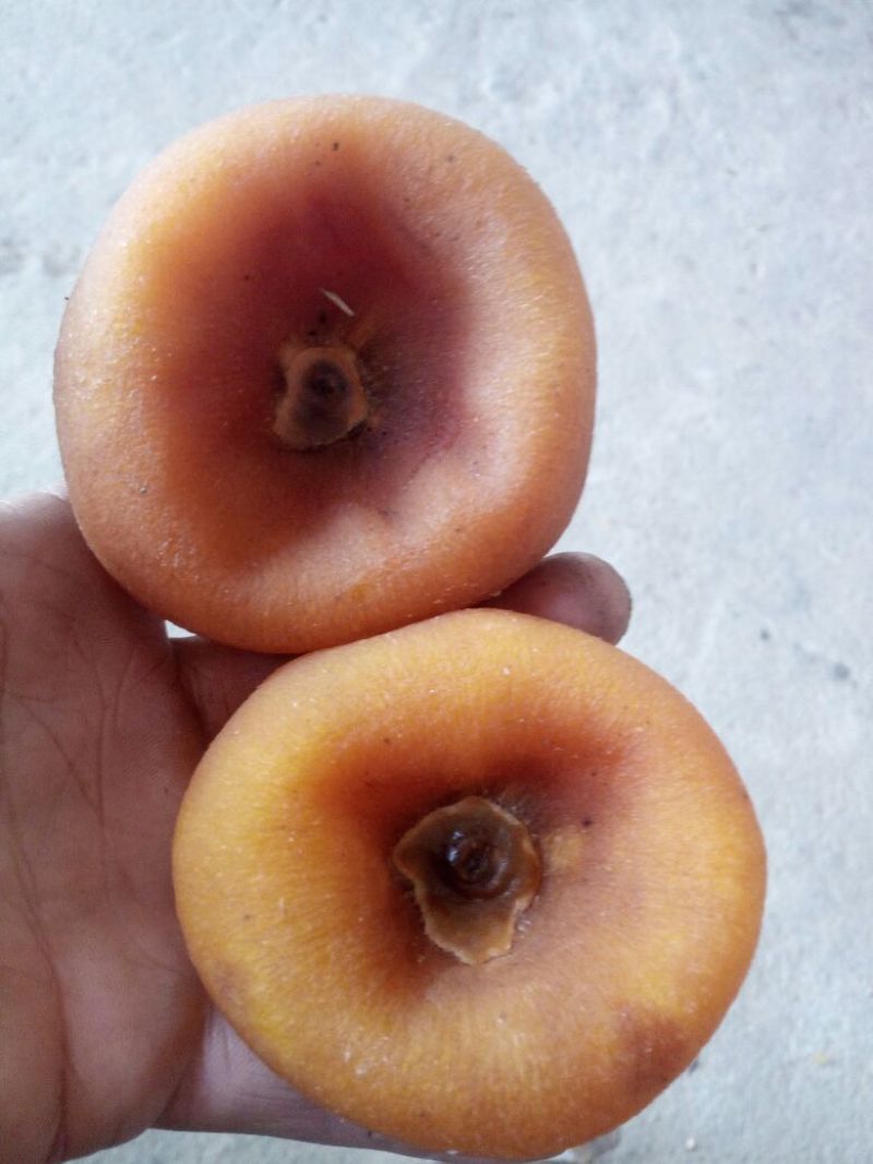 柿饼1~2两