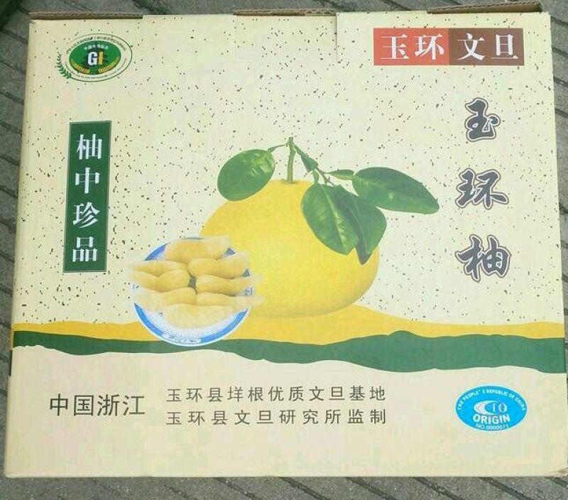 柚子2.5斤以上