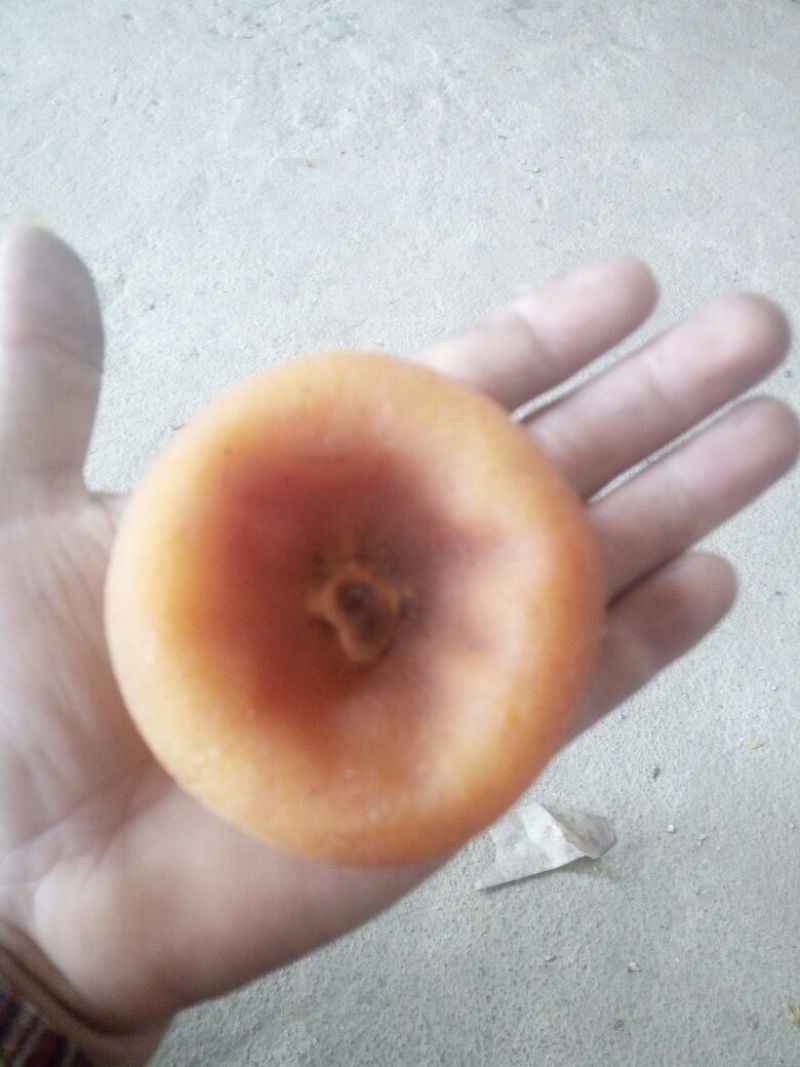柿饼1~2两