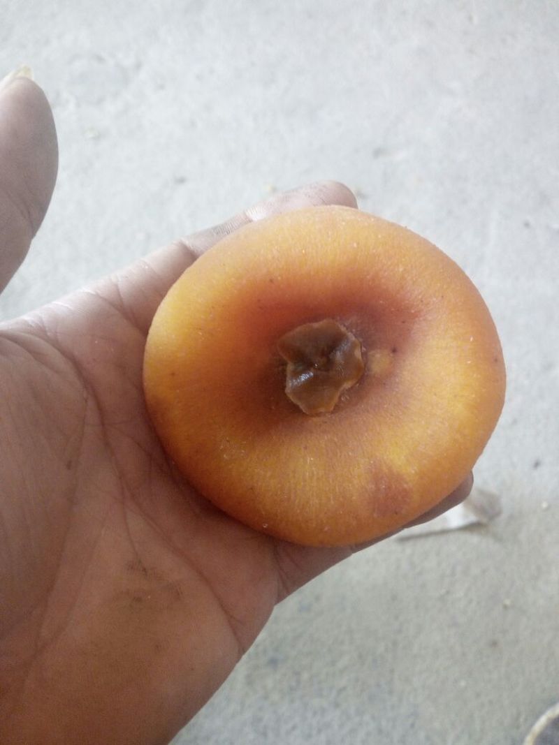 柿饼1~2两