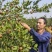 油茶籽98%以上