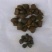 油茶籽98%以上