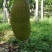 菠萝蜜10~15公斤