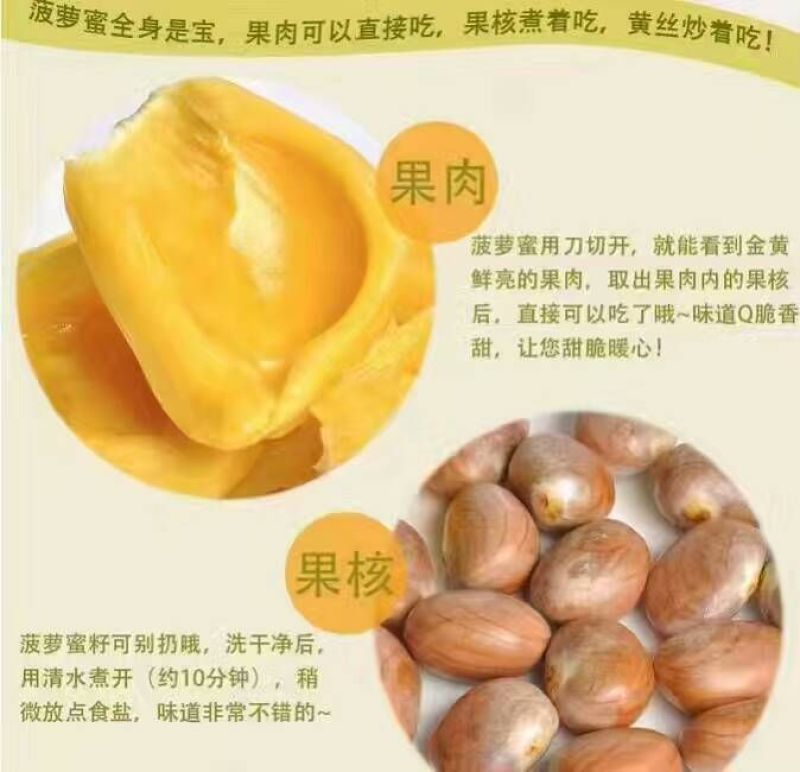 菠萝蜜10~15公斤