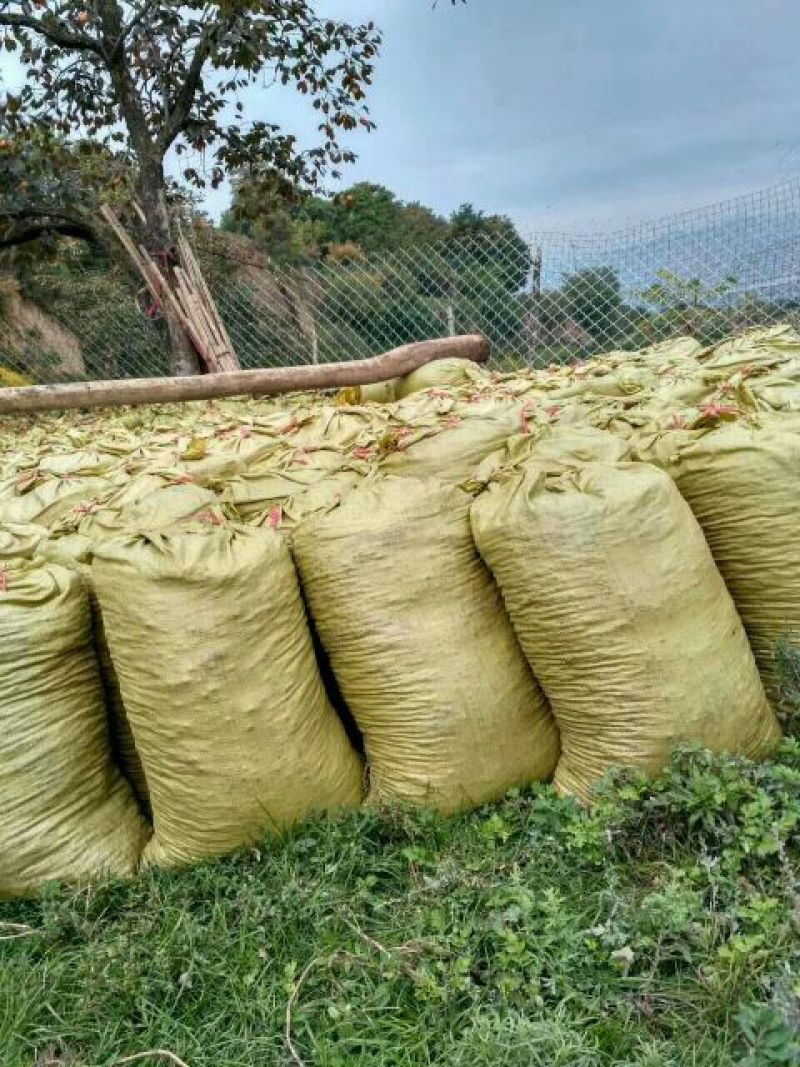 纯羊粪禽畜粪便羊粪80%(12-12-12)35kg(